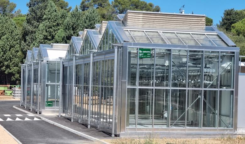 CNRS Montpellier - Centre de recherche - onderzoekcentrum - Hedafor - Deforche