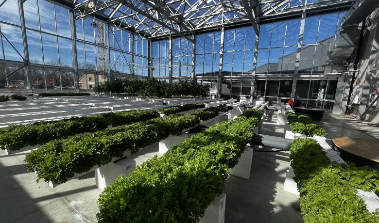 IFSB - Rooftop glasshouse