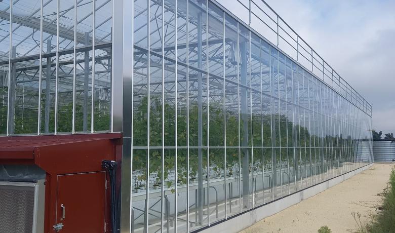 Chambre agriculture de la Gironde - serre insect proof