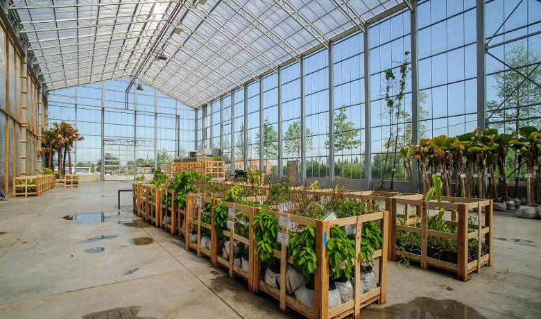 Serre voor stockage van planten - Kas - Greenhouse - Pairi Daiza - Deforche