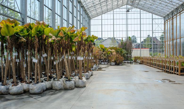 Serre voor stockage van planten - Kas - Greenhouse - Pairi Daiza - Deforche