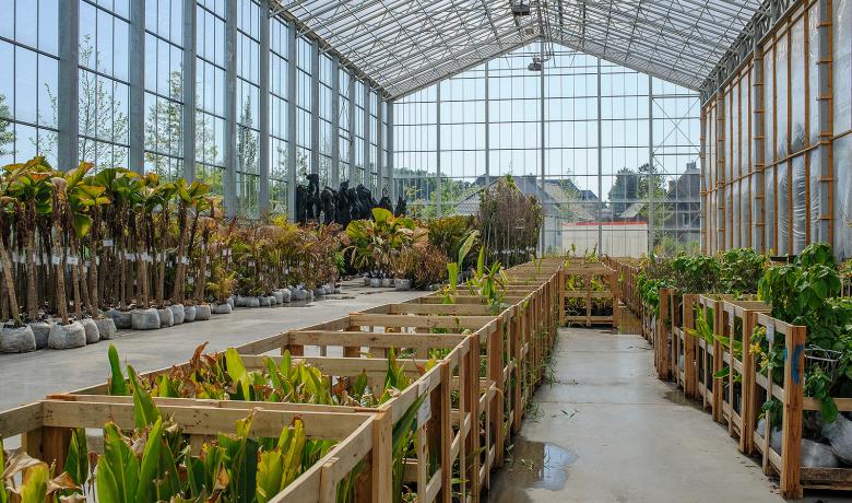 Serre voor stockage van planten - Kas - Greenhouse - Pairi Daiza - Deforche