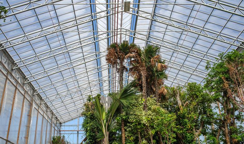 Serre voor stockage van planten - Kas - Greenhouse - Pairi Daiza - Deforche