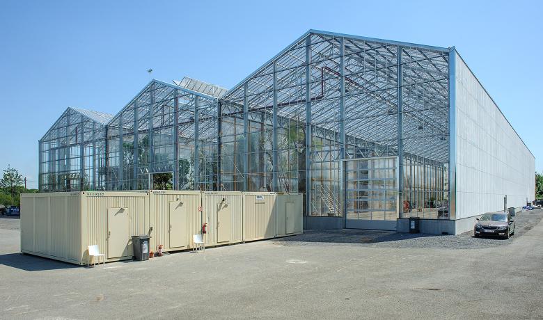 Serre voor stockage van planten - Kas - Greenhouse - Pairi Daiza - Deforche