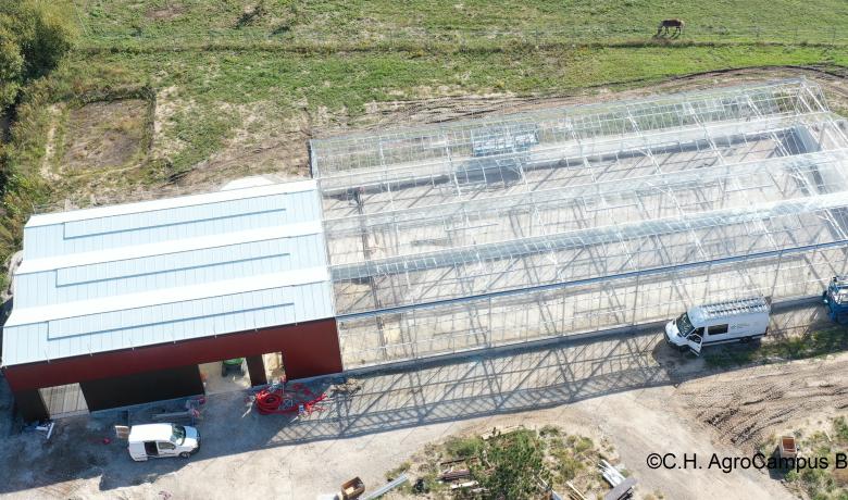 Hedafor construit une serre insectproof en Gironde