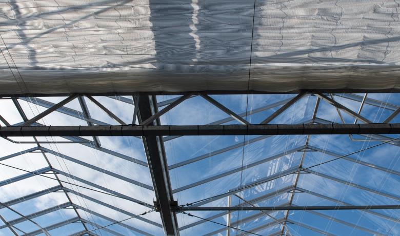Hedafor - Deforche - CTM Thonon les Bains - serre de production - greenhouse - venlo