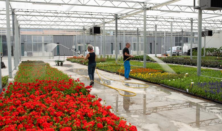 Hedafor - Deforche - CTM Thonon les Bains - serre de production - greenhouse - venlo