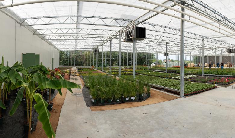 Hedafor - Deforche - CTM Thonon les Bains - serre de production - greenhouse - venlo
