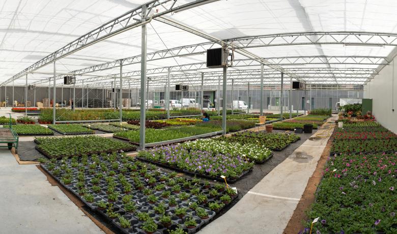Hedafor - Deforche - CTM Thonon les Bains - serre de production - greenhouse - venlo