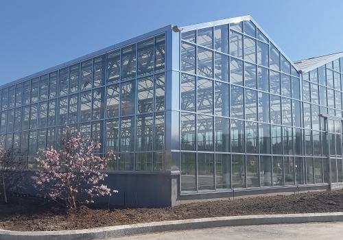 Hedafor bouwt een nieuwbouw serrecomplex Meylan Pépinières 