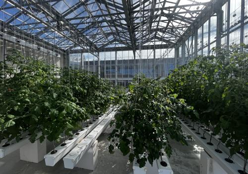 IFSB - Hedafor construit un serre sur toiture - rooftop greenhouse 