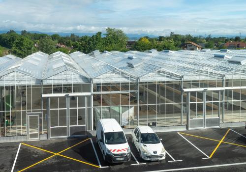 Hedafor - Deforche - CTM Thonon les Bains - serre de production - greenhouse - venlo